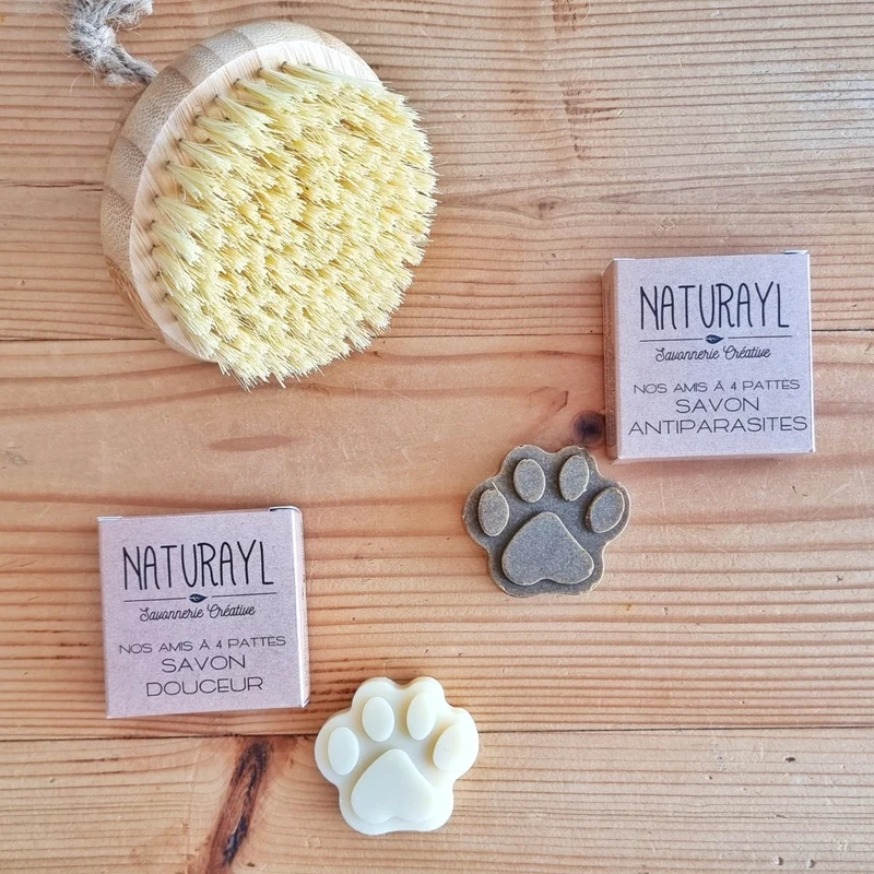 Brosse en bambou et coco