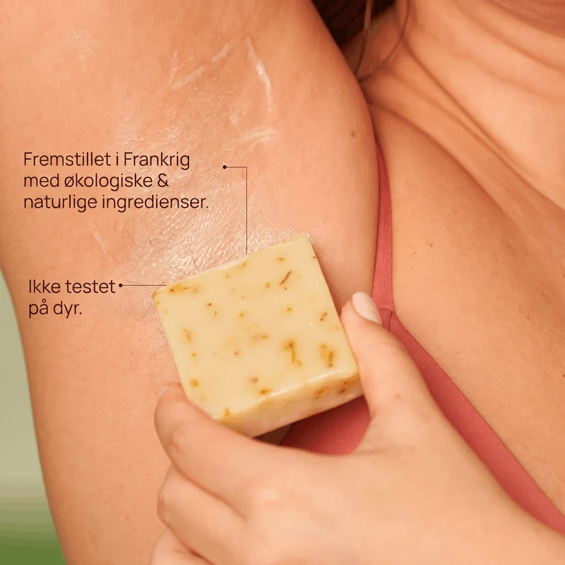 Kit Complet : Rasage Éco-Friendly & Parfait