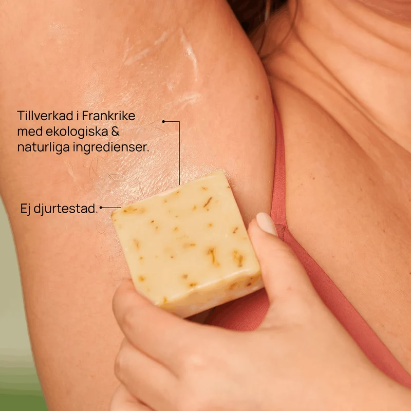 Kit Complet : Rasage Éco-Friendly & Parfait