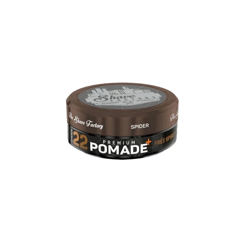 Pomade coiffante brillante (Premium Pomade)