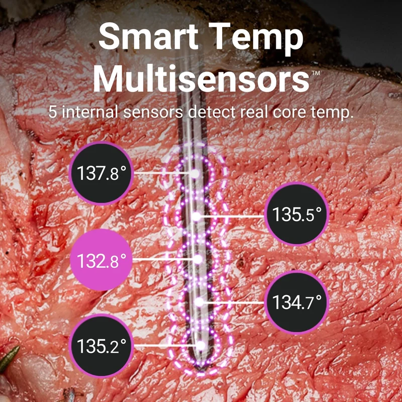 Traeger Meater Pro Wireless Thermometer - Silver