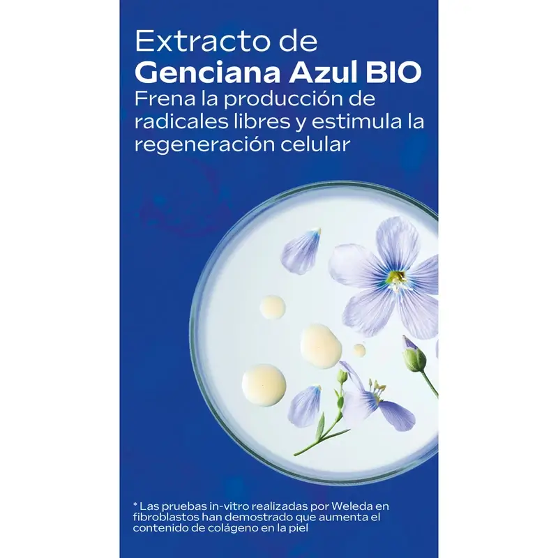 2026 Stain-Resistant Protocol Case