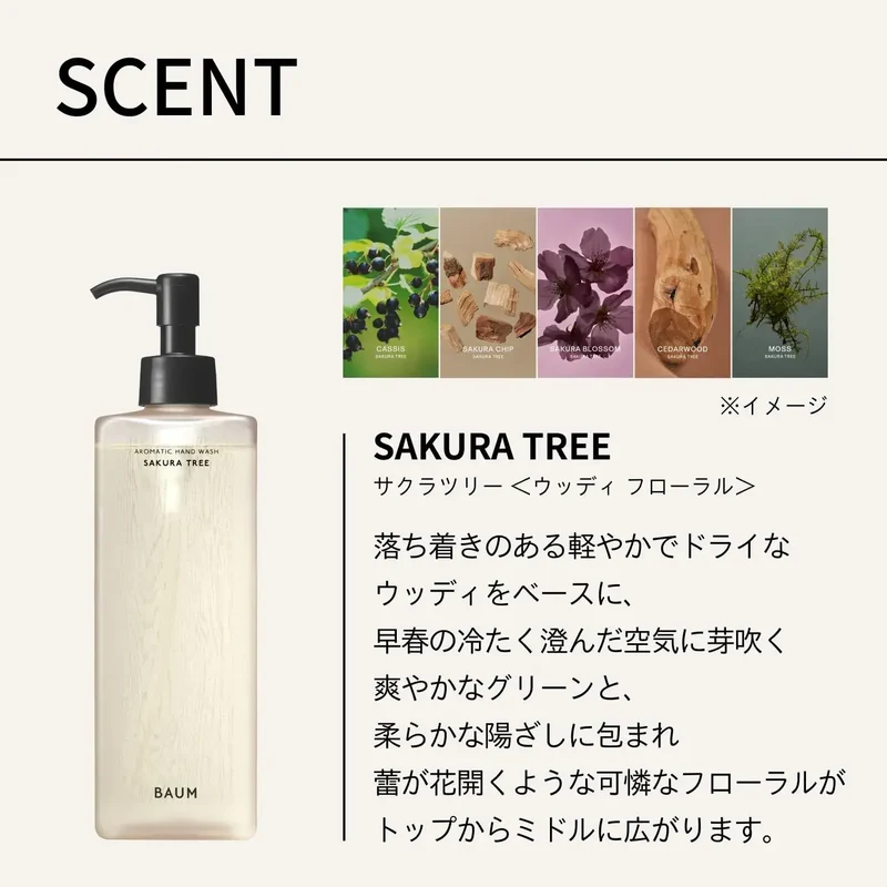 Baum Aromatic Hand Wash Liquid Daily Gentle Soap Sakura Tree