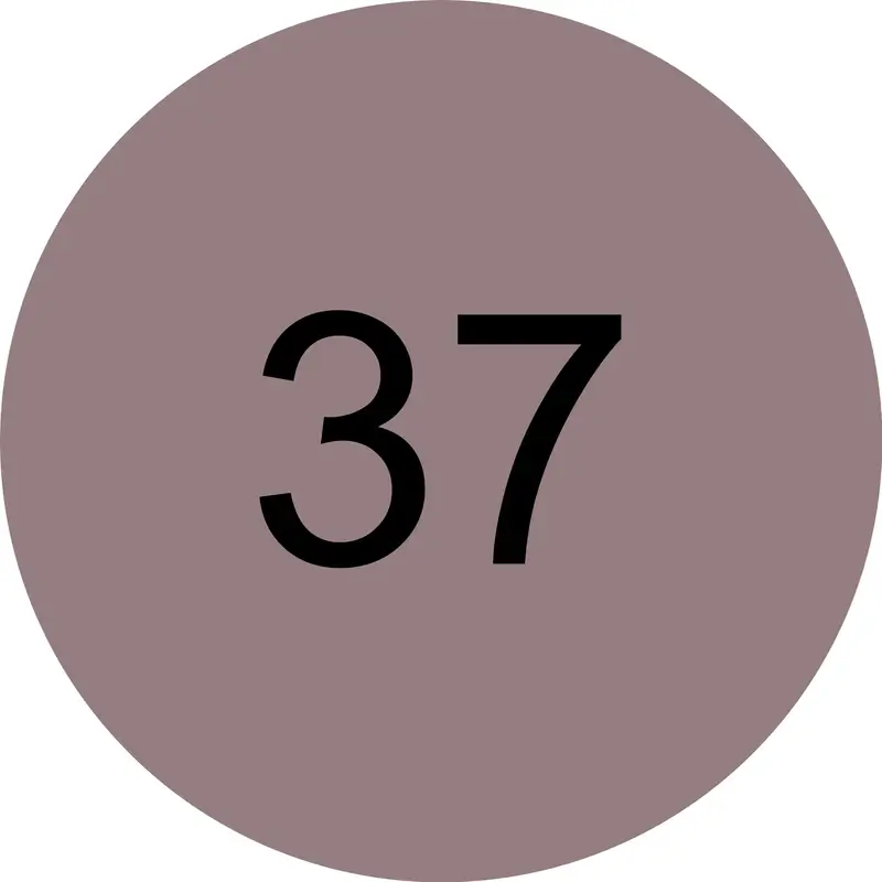 Essence Gel Nail Polish 37, 8 ml