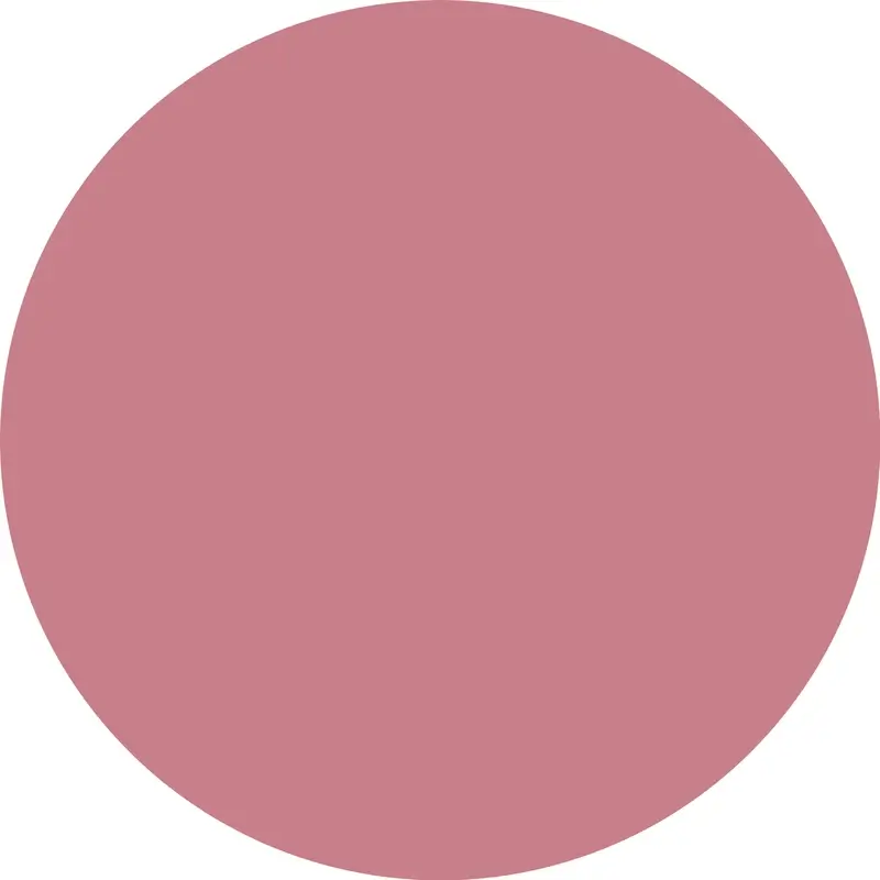 Essence Poutline Soft Glide Lip Liner 02, 0,62 g