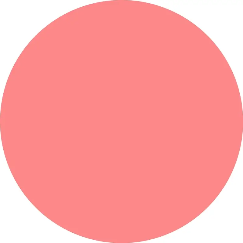 Catrice Lip Gloss Obsessed Lip Glaze 020 , 2,5 ml