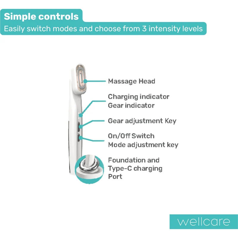 Wellcare 360 Rotary Beauty Wand