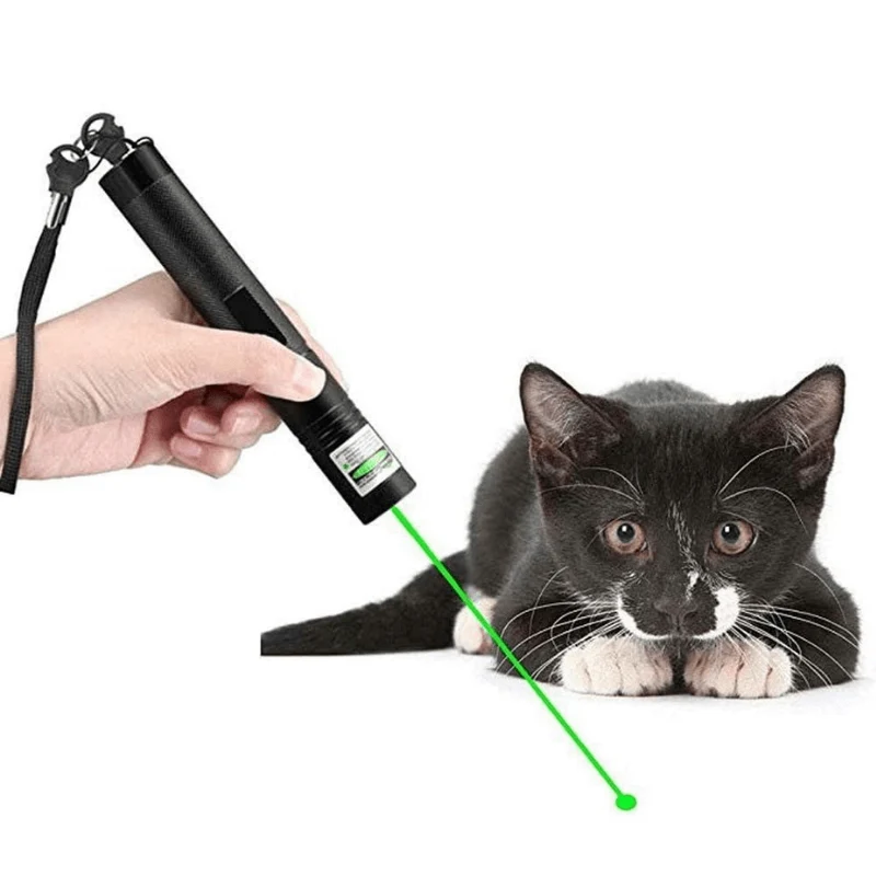 Puntatore Laser ad Alte Prestazioni - Potente