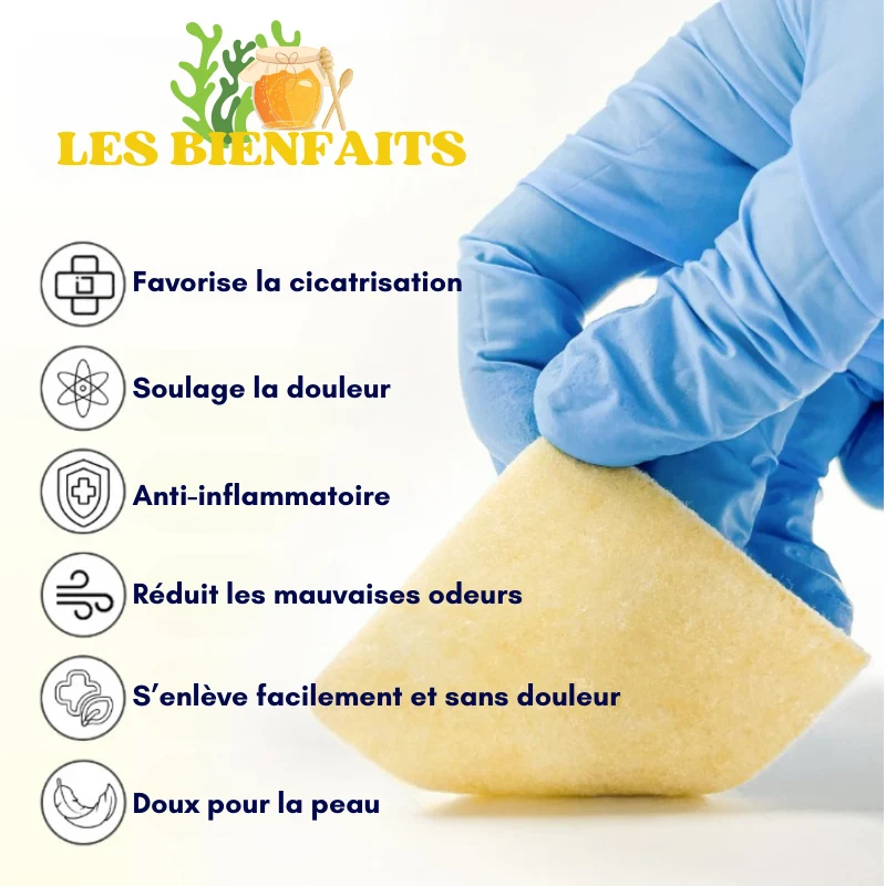 Lot de 10 pansements alginate de calcium miel