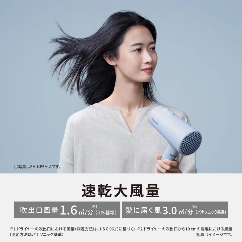 Panasonic Ionity Hair Dryer (EH-NE5M-H) — Quick-dry High Airflow Dark Gray