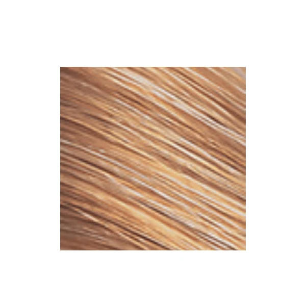 Coloration permanente Color Perfect