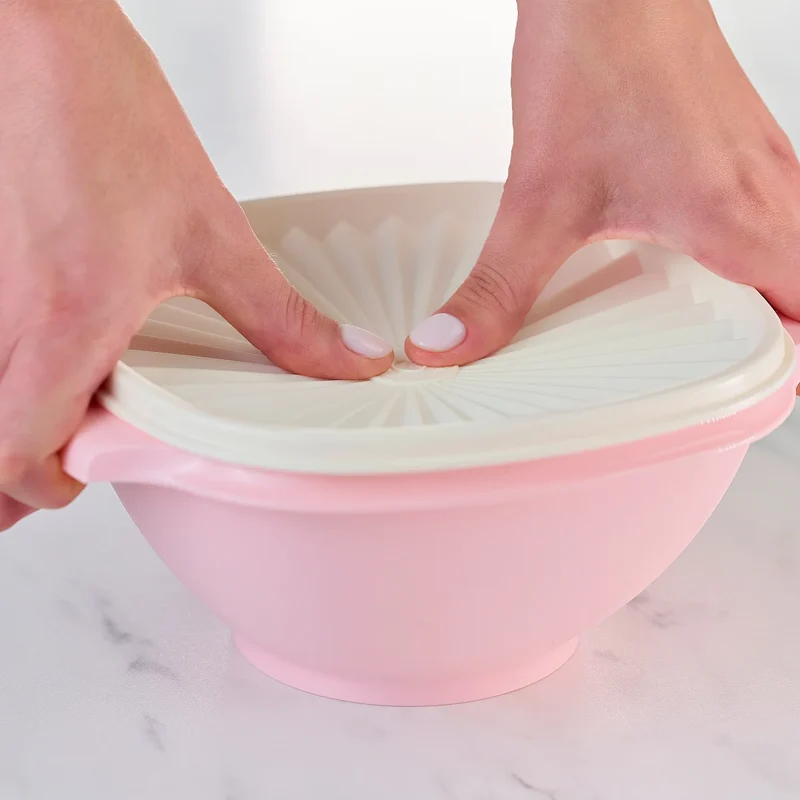 TUPPERWARE - Ensemble de 6 Contenants Alimentaires Heritage