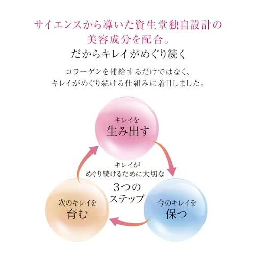SHISEIDO The Collagen Drink 50mL x 10 bottles