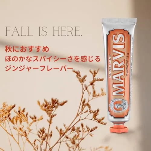 MARVIS Ginger Mint Toothpaste 75ml