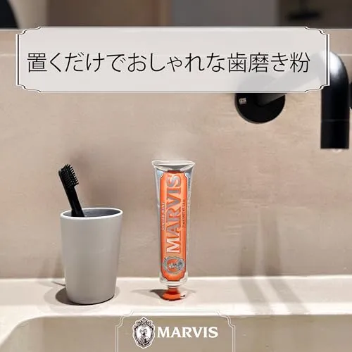 MARVIS Ginger Mint Toothpaste 75ml