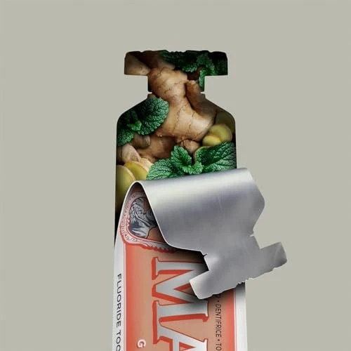 MARVIS Ginger Mint Toothpaste 75ml