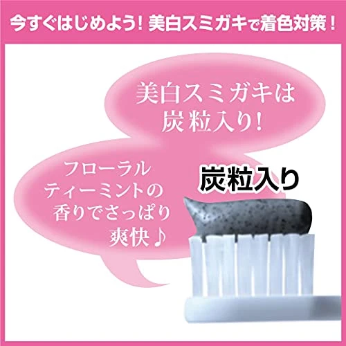 Kobayashi Sumigaki Charclean Charcoal Toothpaste 90g