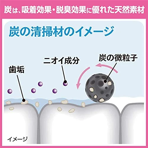 Kobayashi Sumigaki Charclean Charcoal Toothpaste 90g
