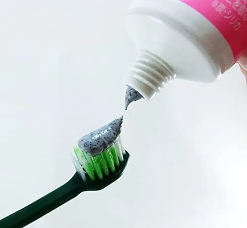 Kobayashi Sumigaki Charclean Charcoal Toothpaste 90g
