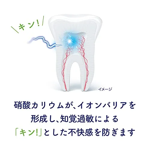 Schmictect Gum Disease Care Natural Herb Toothpaste 1450ppm