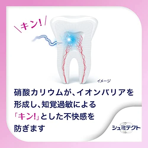 Schmictect Gum Disease Care Toothpaste Double Mint 1450ppm