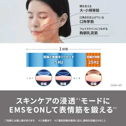 Panasonic Ion Facial Machine Ion Boost Multi EX Power White EH-SS85-W