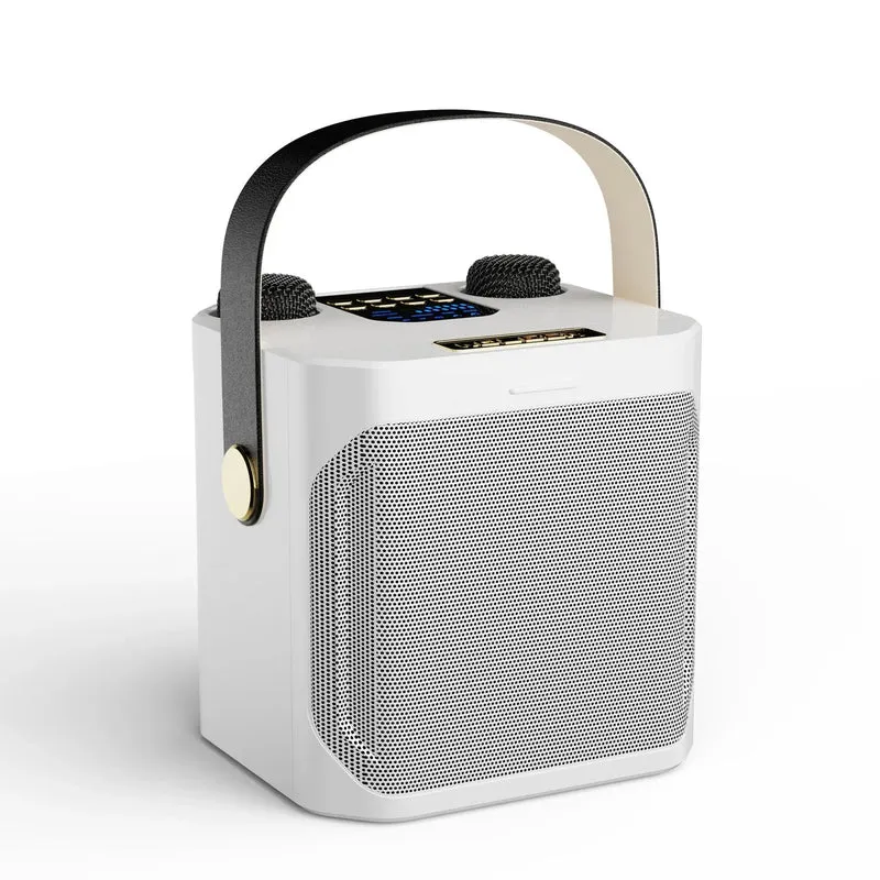 Potente Cassa Bluetooth Karaoke – Cassa Portatile Wireless Subwoofer Stereo Surround 360° con Doppio Microfono