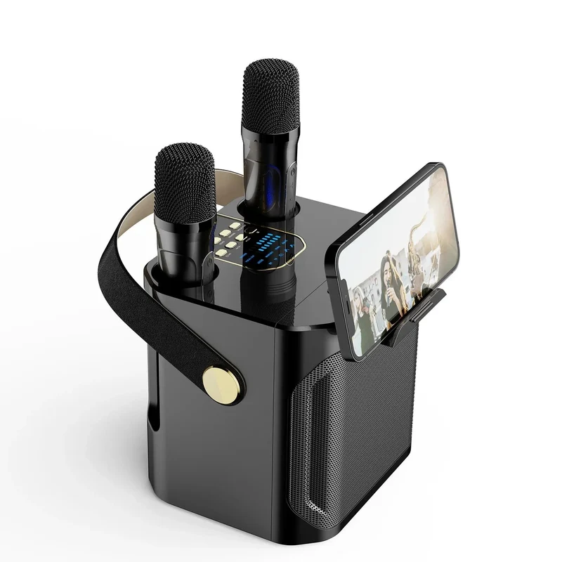 Potente Cassa Bluetooth Karaoke – Cassa Portatile Wireless Subwoofer Stereo Surround 360° con Doppio Microfono