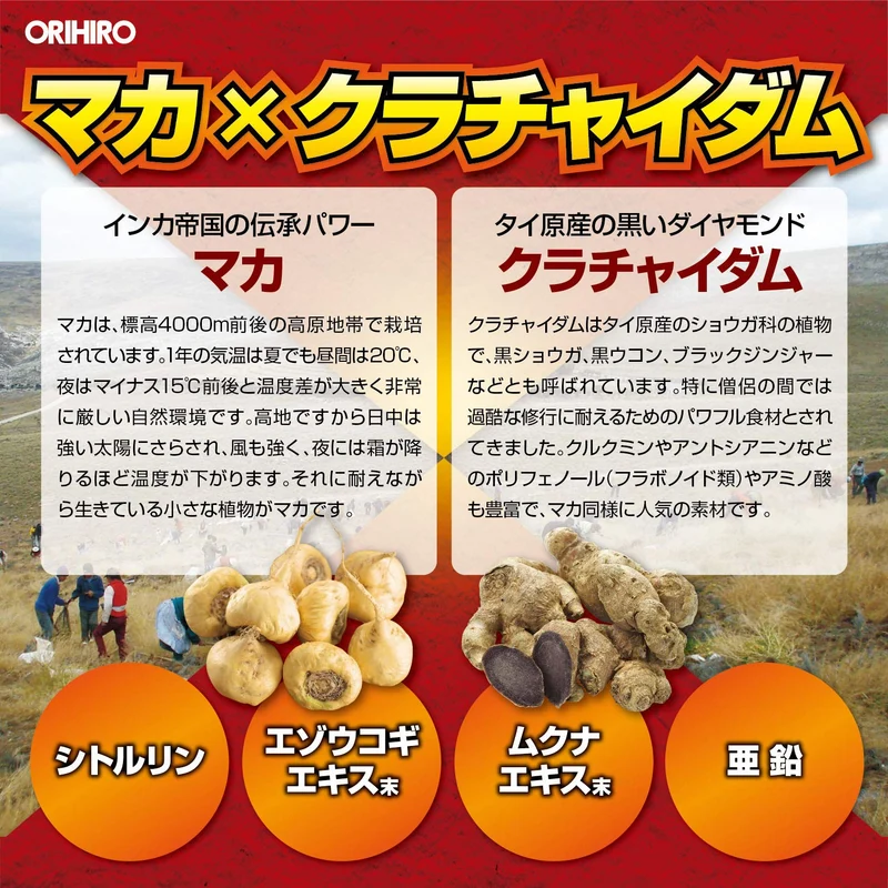 ORIHIRO Maca Krachaidam 100 capsules 20 day