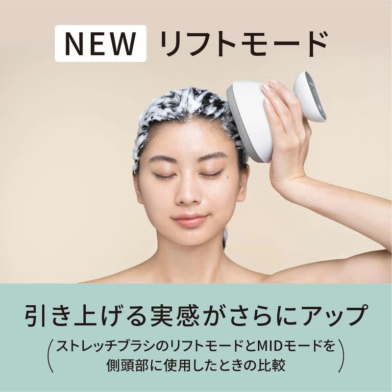 Panasonic Scalp Esthe Lift Mode Massage Brush 3 Speed Silver EH-HE0J-S