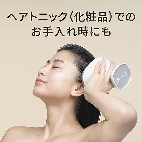 Panasonic Scalp Esthe Lift Mode Massage Brush 3 Speed Silver EH-HE0J-S