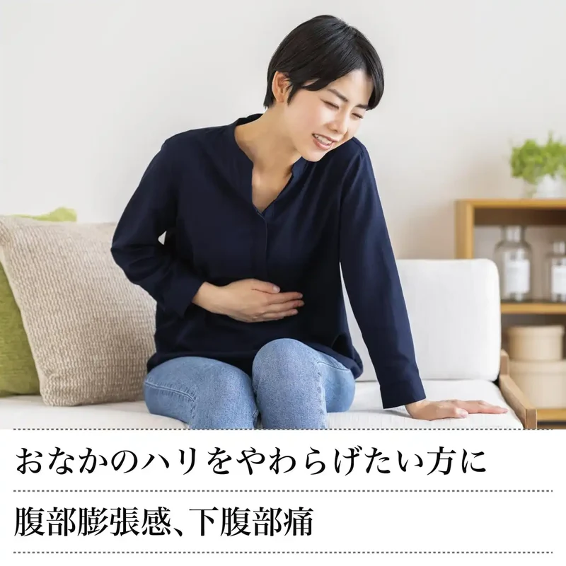 Tsumura Kampo Daikenchuto Extract Granules 48 Packets - [Class 2 OTC Drug]