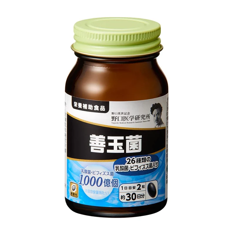 Noguchi Medical Research Institute Good Bacteria Bifidobacteria Supplement 60 Tablets