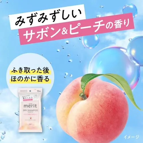 Merit Dry Shampoo Sheet Dry Hair Clumping Type 12 sheets