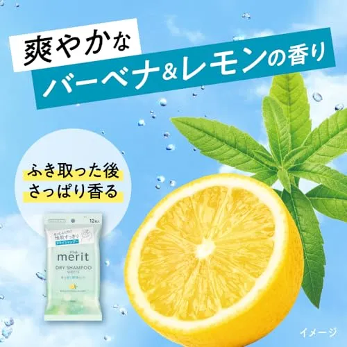 Merit Day Plus Dry Shampoo Sheets White Green 12 sheets