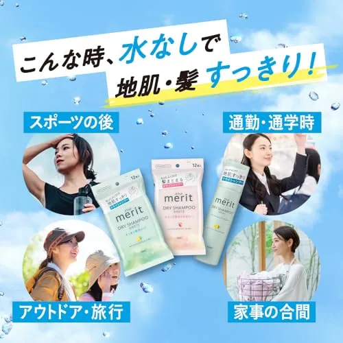 Merit Day Plus Dry Shampoo Sheets White Green 12 sheets