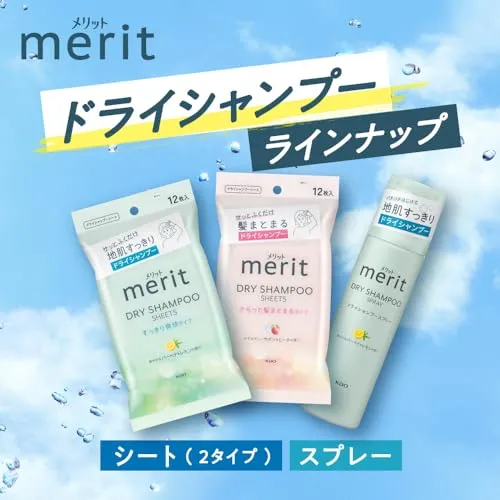 Merit Day Plus Dry Shampoo Sheets White Green 12 sheets