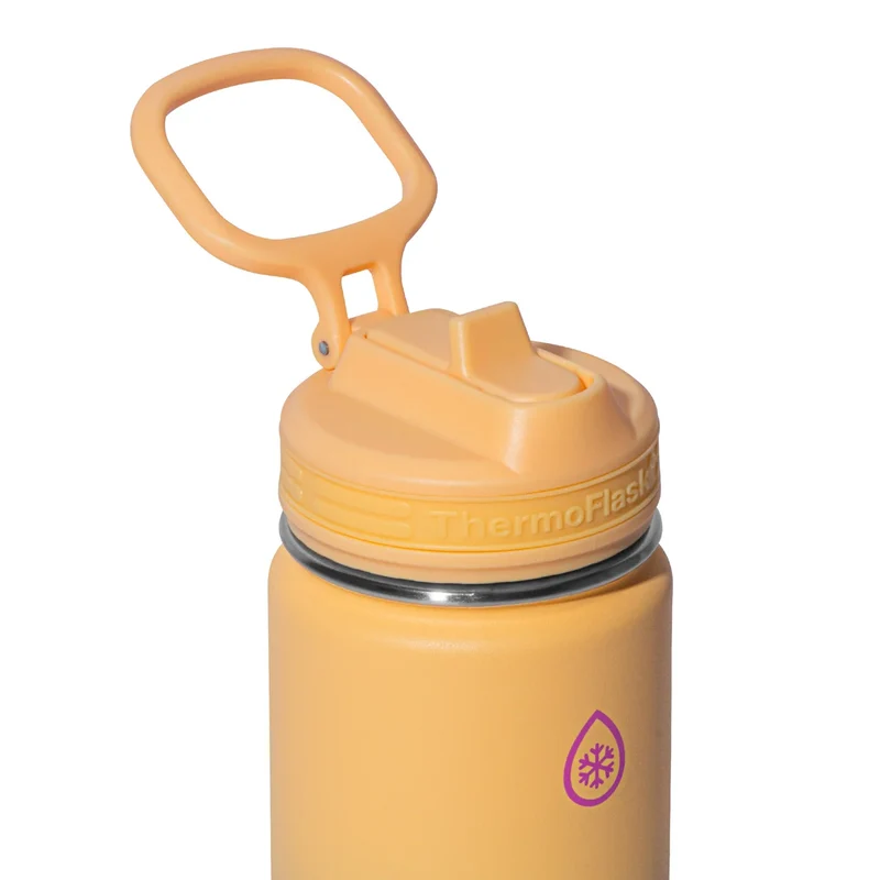 THERMOFLASK - Ensemble de 2 Bouteilles d'Eau de 474 ml