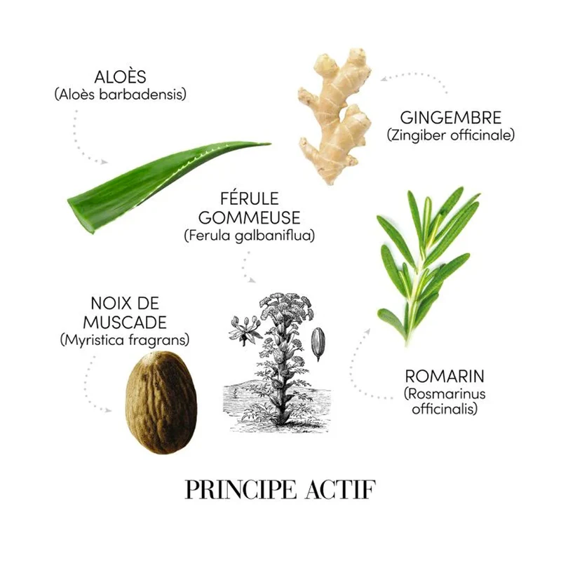 Ensemble "Solution Antipellicules Puroxine" Shampoing et Lotion purifiante pellicules libres - Pour cuir chevelu avec problème de pellicules (250ml/8.45oz et 100ml/3.38oz)