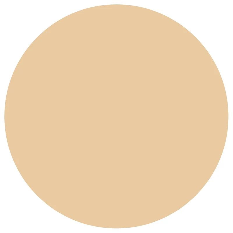 DHC BB Cream GE Natural Ochre 02 Standard Shade 40g
