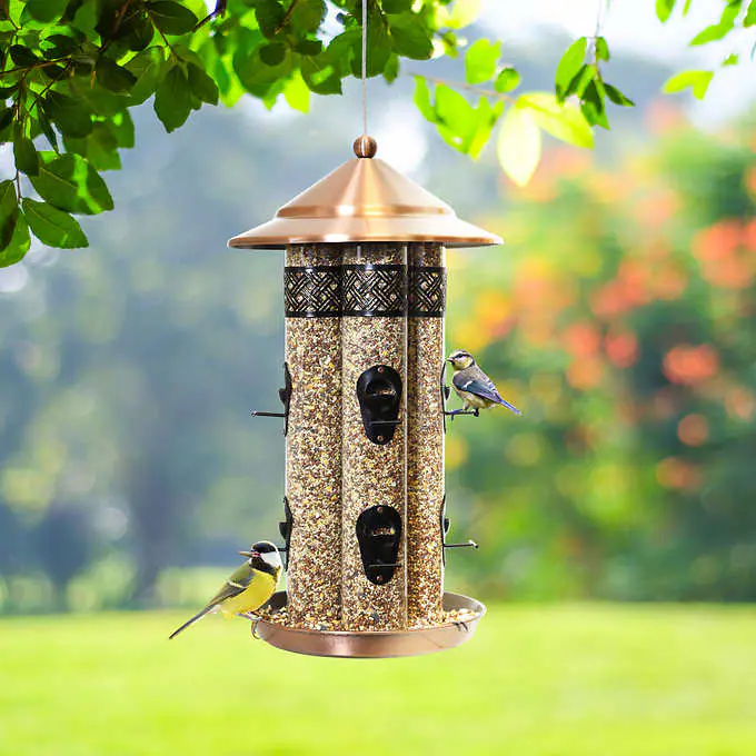 Mangeoire à Oiseaux à 4 Tubes