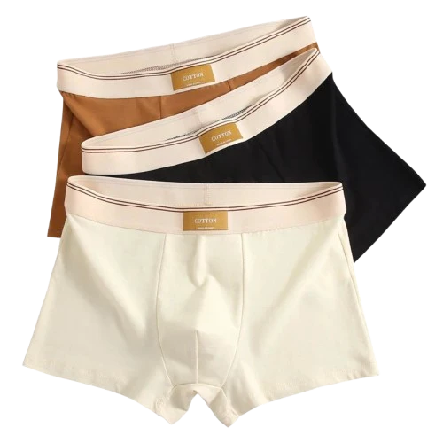 Lot de 3 boxers 100% Coton - Grande Taille