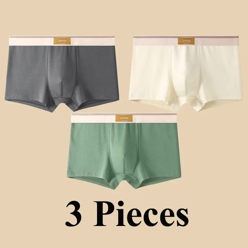 Lot de 3 boxers 100% Coton - Grande Taille