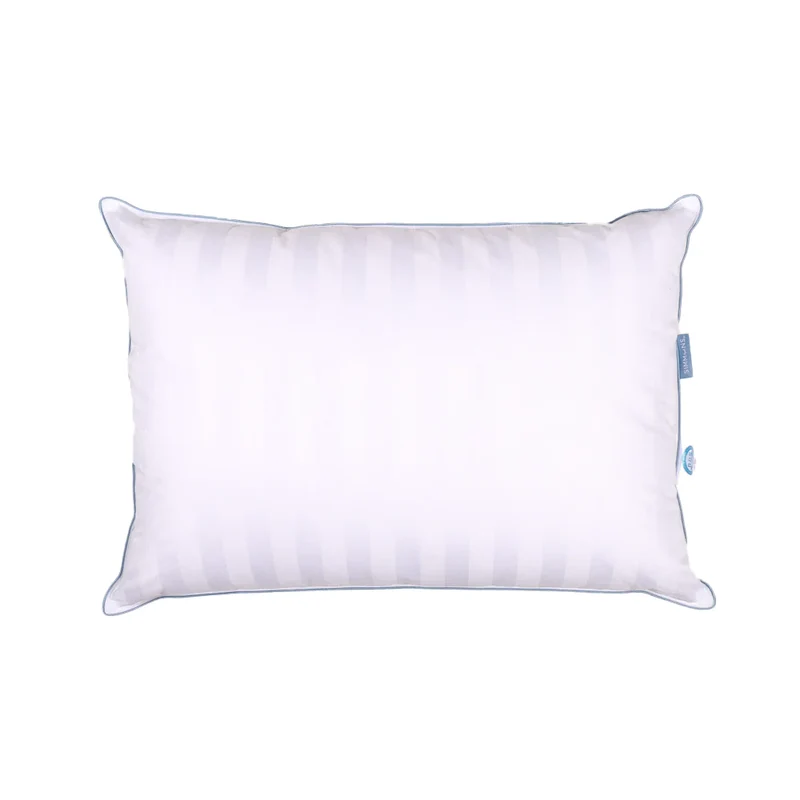SIMMONS - Oreiller Premium en Duvet