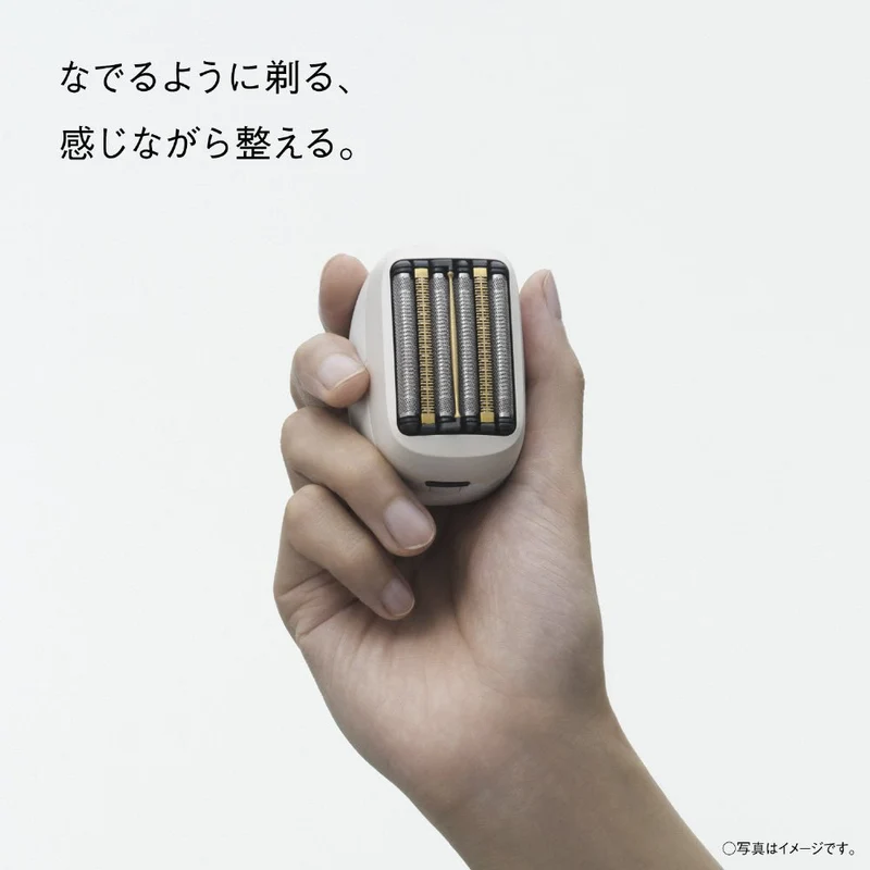 Panasonic Lamdash Palm In PRO 6 Blade ES-P650U AC100-240V