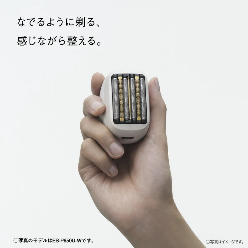 Panasonic Lamdash Palm In PRO 6 Blade ES-P650U AC100-240V