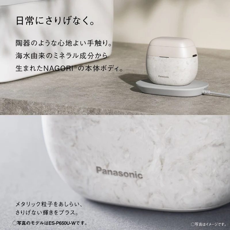 Panasonic Lamdash Palm In PRO 6 Blade ES-P650U AC100-240V
