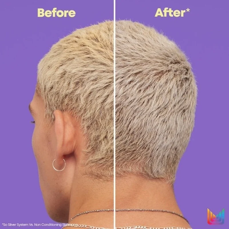Revitalisant violet "So Silver" pigments neutralisants