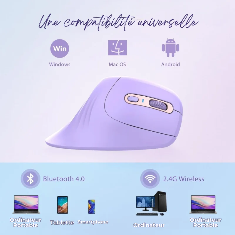 Souris Sans fil Ergonomique Anti-Douleurs