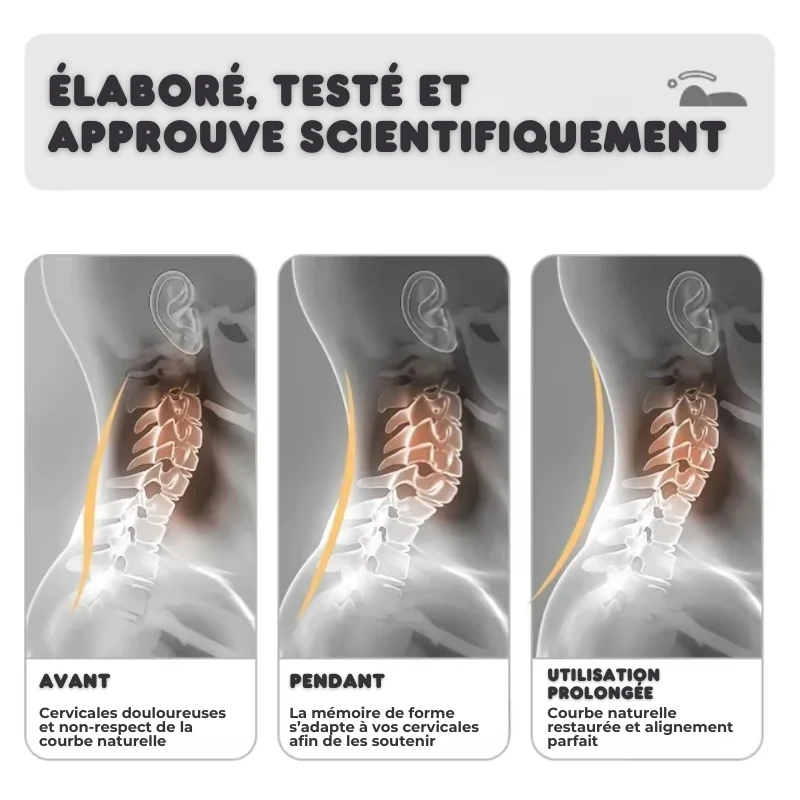 Coussin Cervicales Orth4WD Ergonomique à Mémoire de Forme